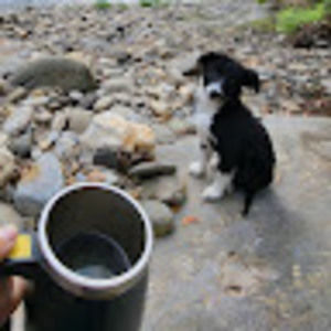 Meet your Posher, Dillon